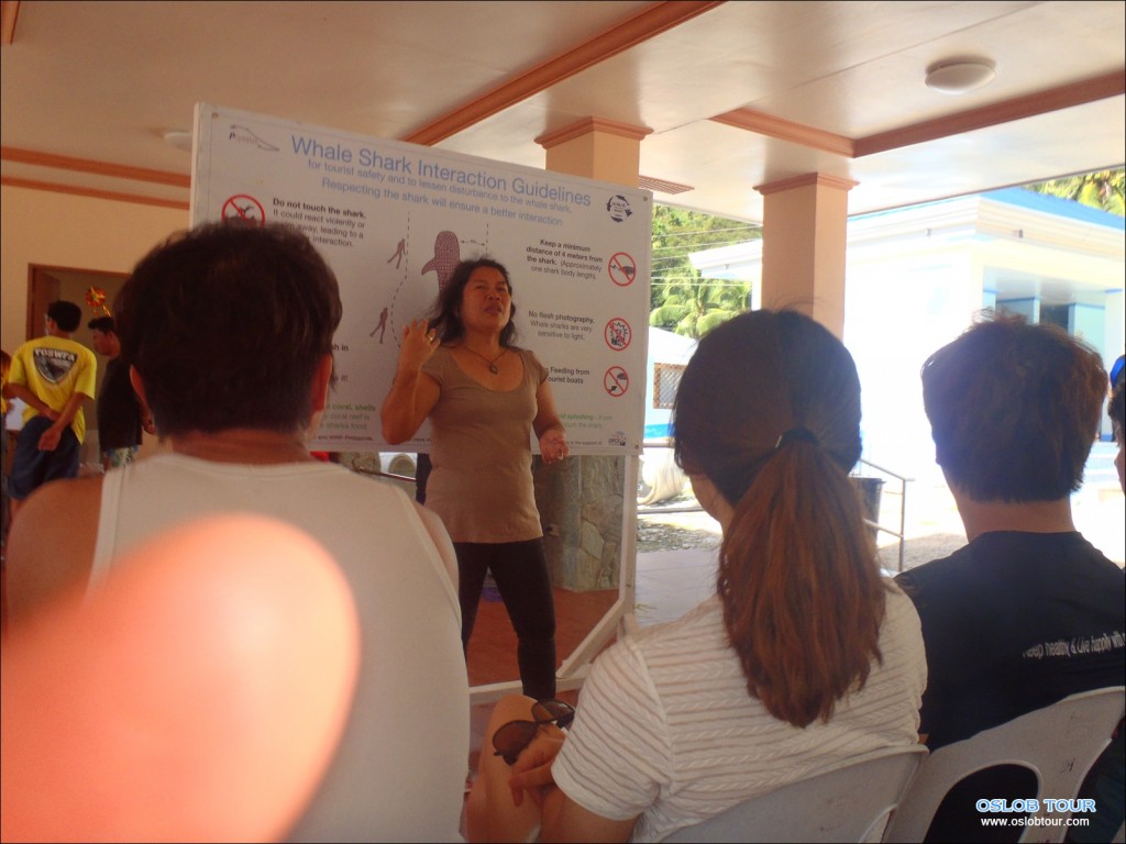 Oslob Whaleshark tour – 8 Feb 2014