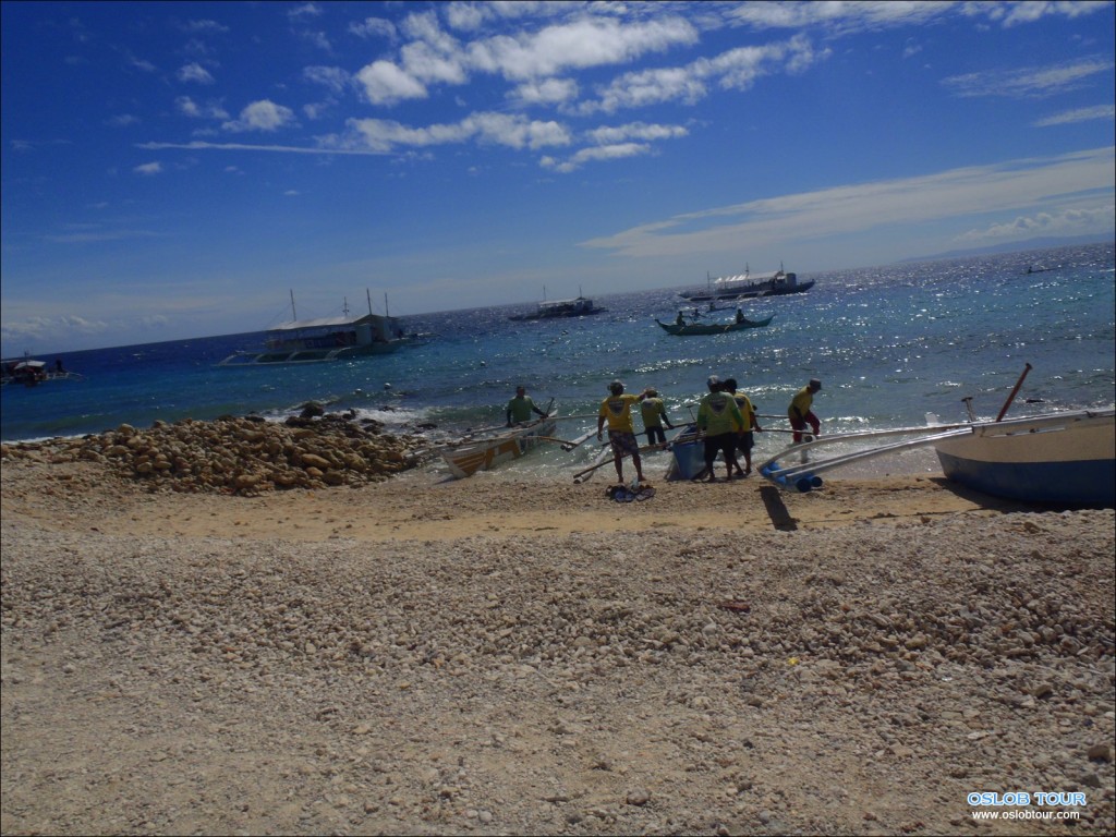 Oslob Whaleshark tour – 8 Feb 2014