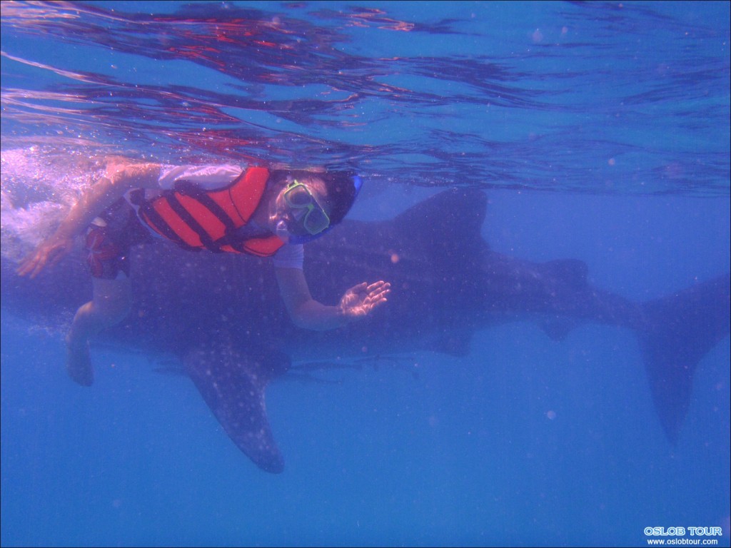 Oslob_Tour_8_Mar_2014_02