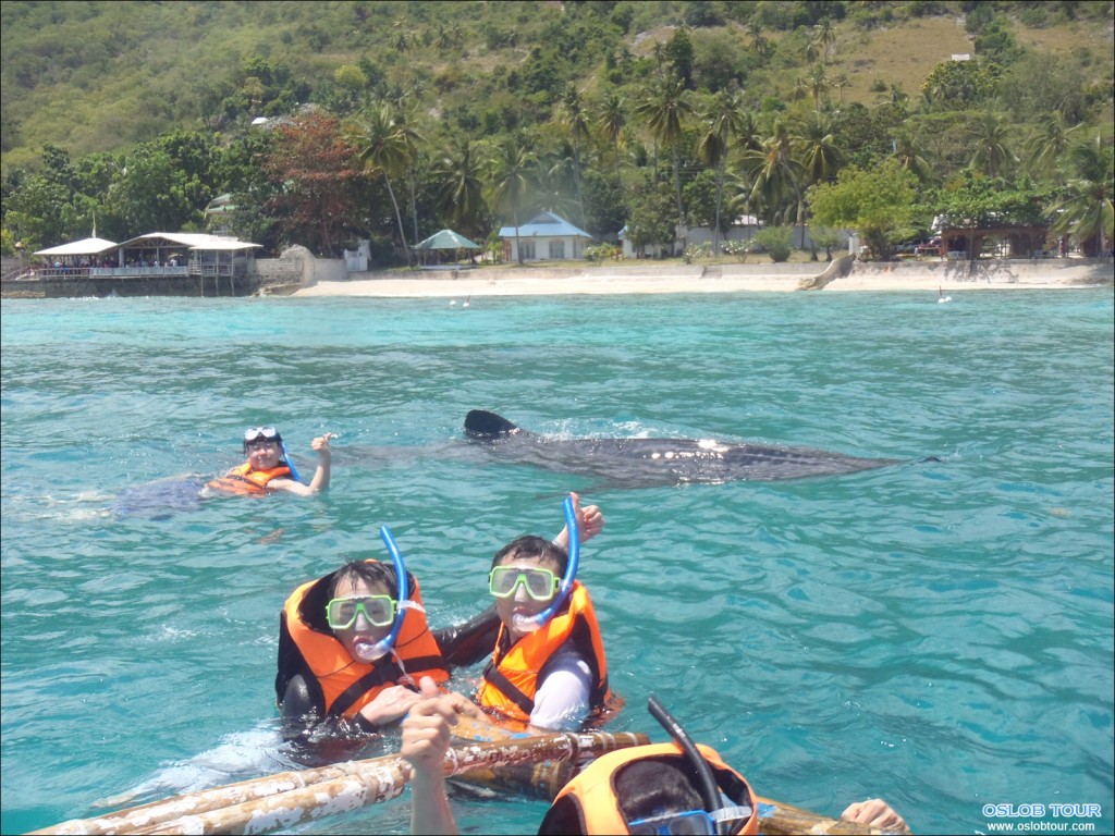 Oslob_Tour_8_Mar_2014_04