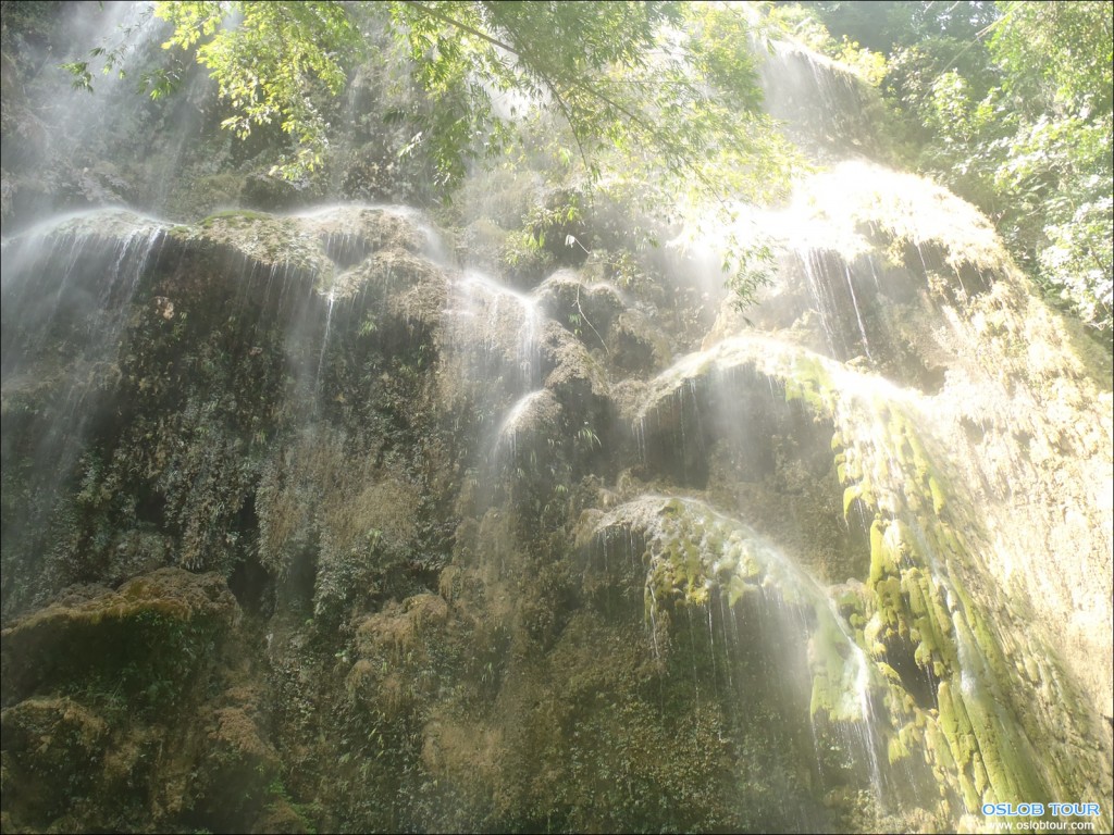 Oslob_Tour_8_Mar_2014_06