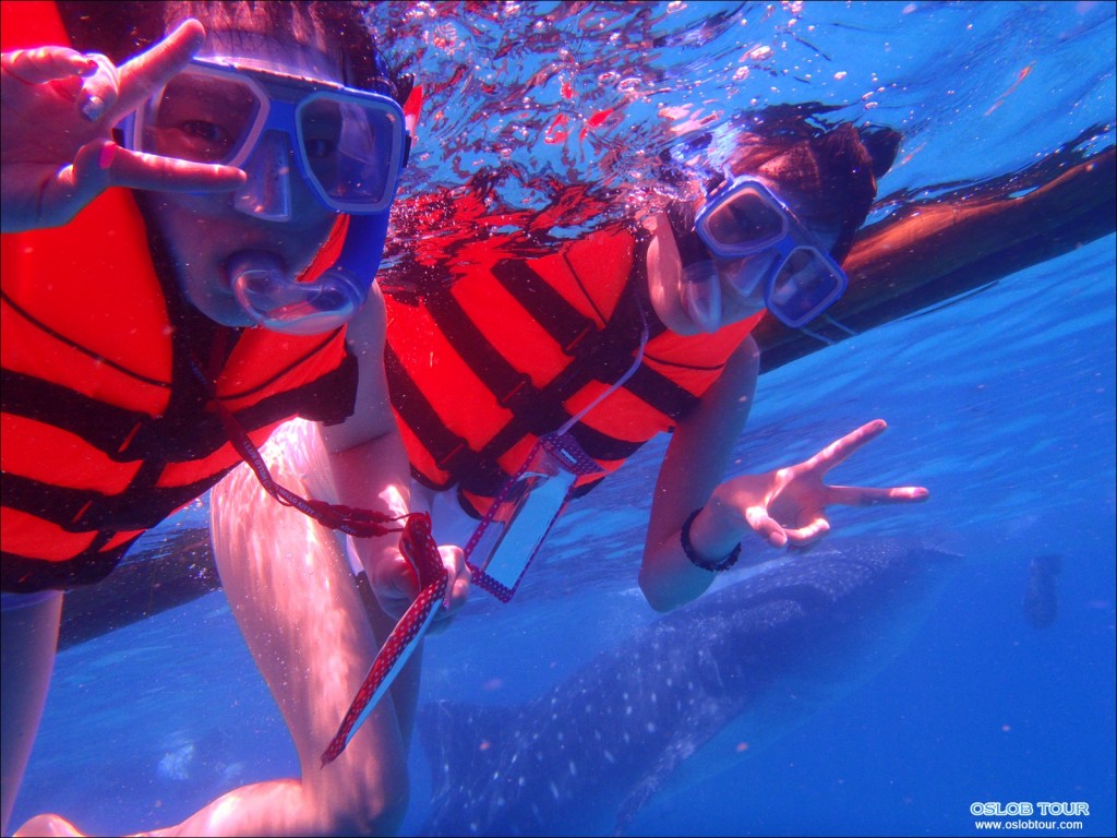 Cebu Oslob Whale shark tour – 28 Apr 2014