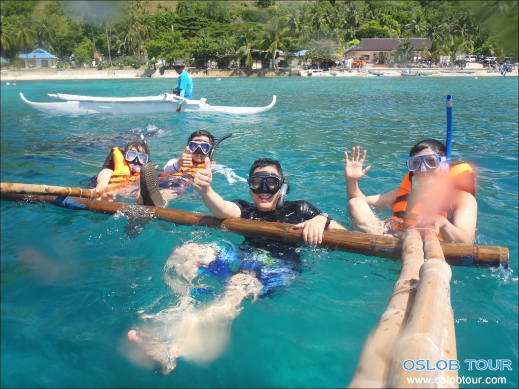 Cebu Oslob Whale shark tour – 14 May 2014