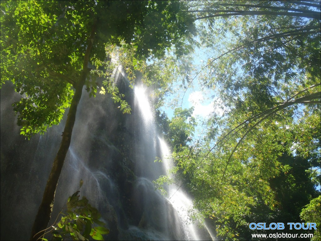 Cebu Oslob Whale shark tour – 14 May 2014