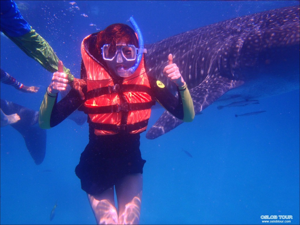 Cebu Oslob Whale shark tour – 29 Apr 2014