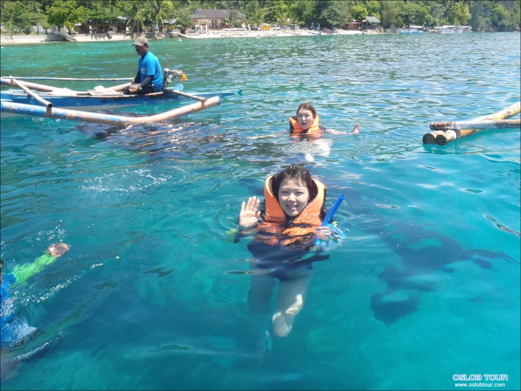 Cebu Oslob Whale shark tour – 29 Apr 2014