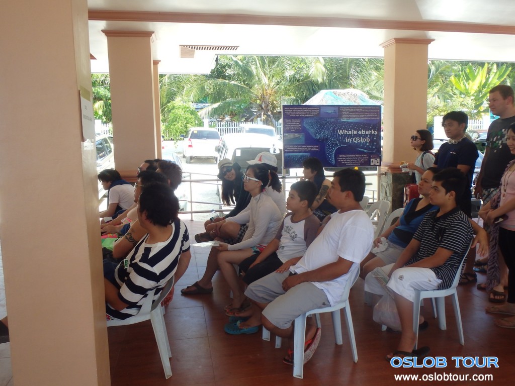 Cebu Oslob Whale shark tour – 7 June 2014 