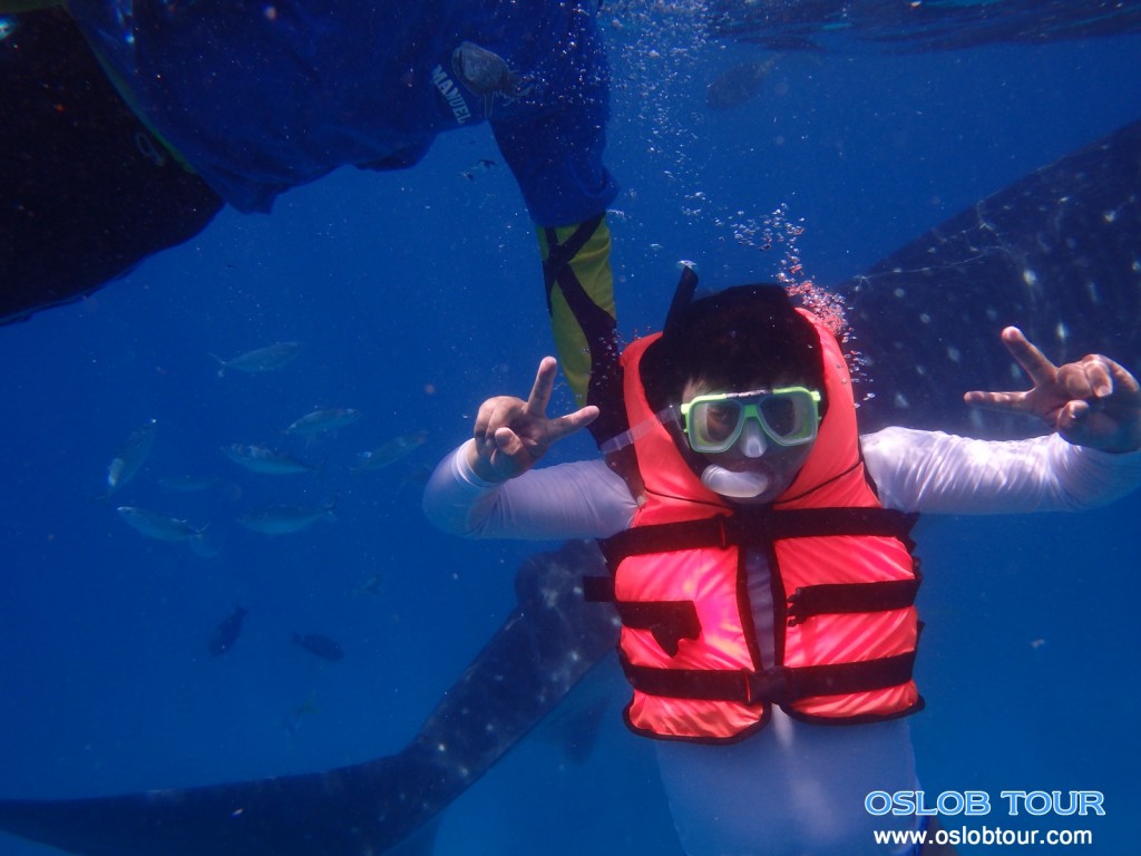 Cebu Oslob Whale shark tour – 7 June 2014 
