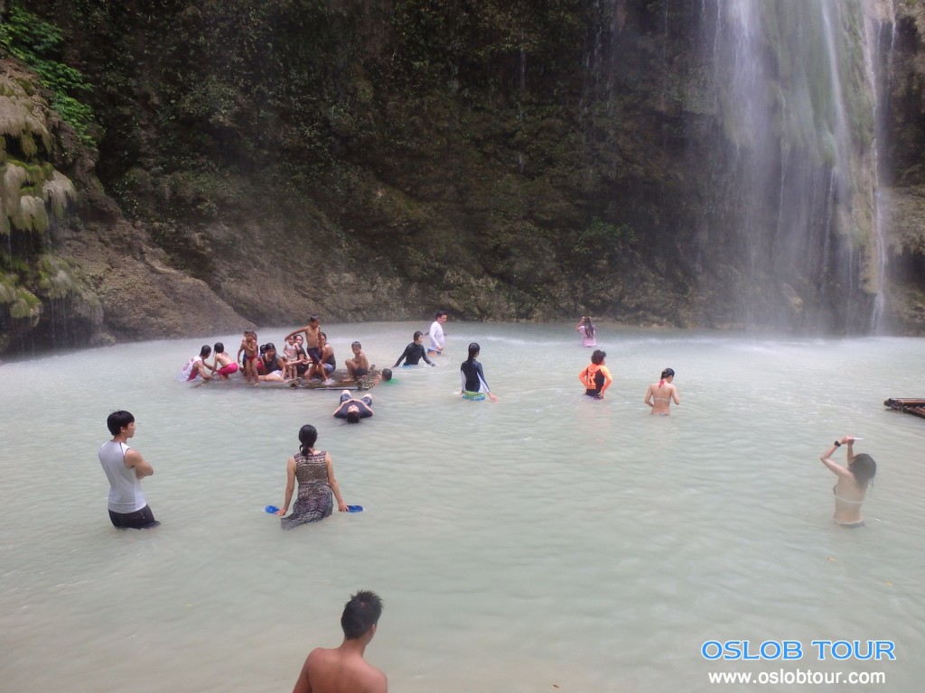 Cebu Oslob Whale shark tour – 7 June 2014 