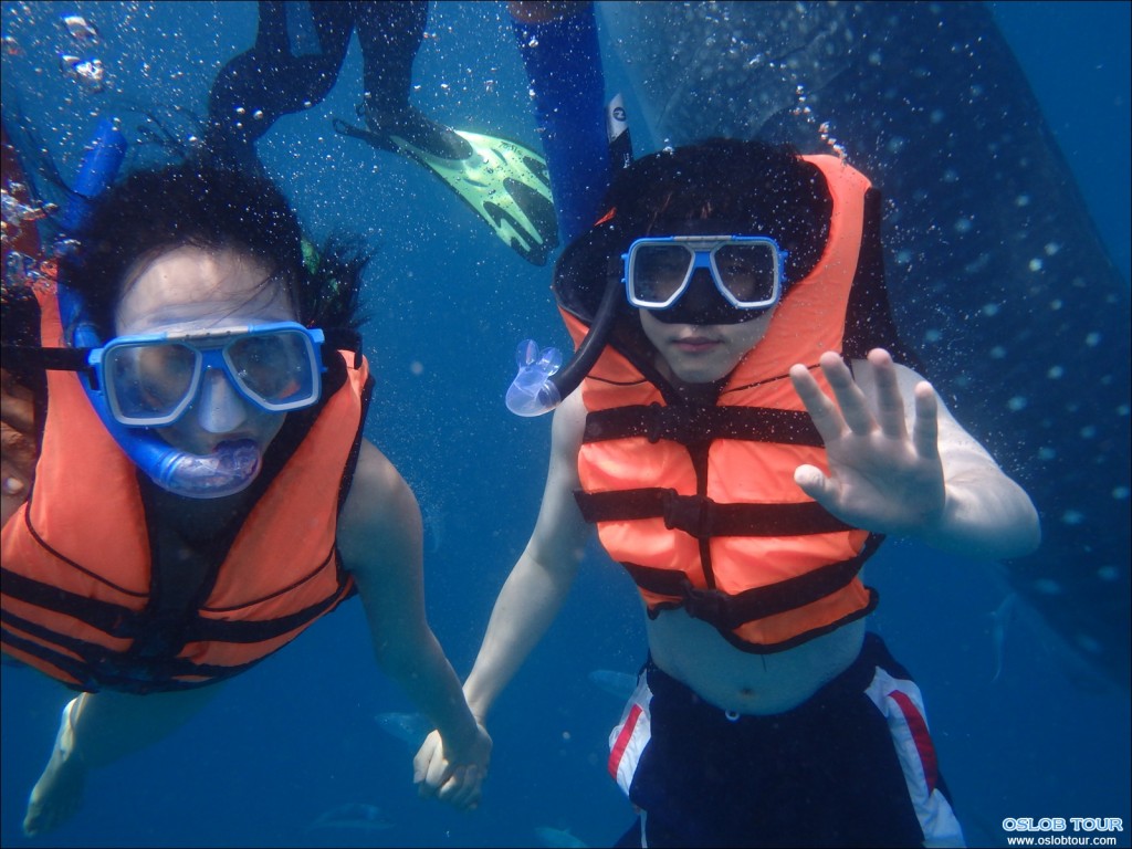 Cebu Oslob Whale shark watching Day tour – 21 July 2014