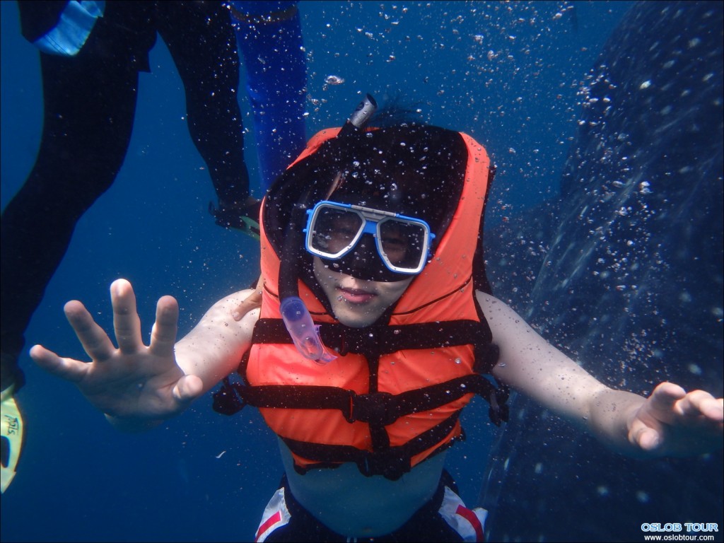 Cebu Oslob Whale shark watching Day tour – 21 July 2014