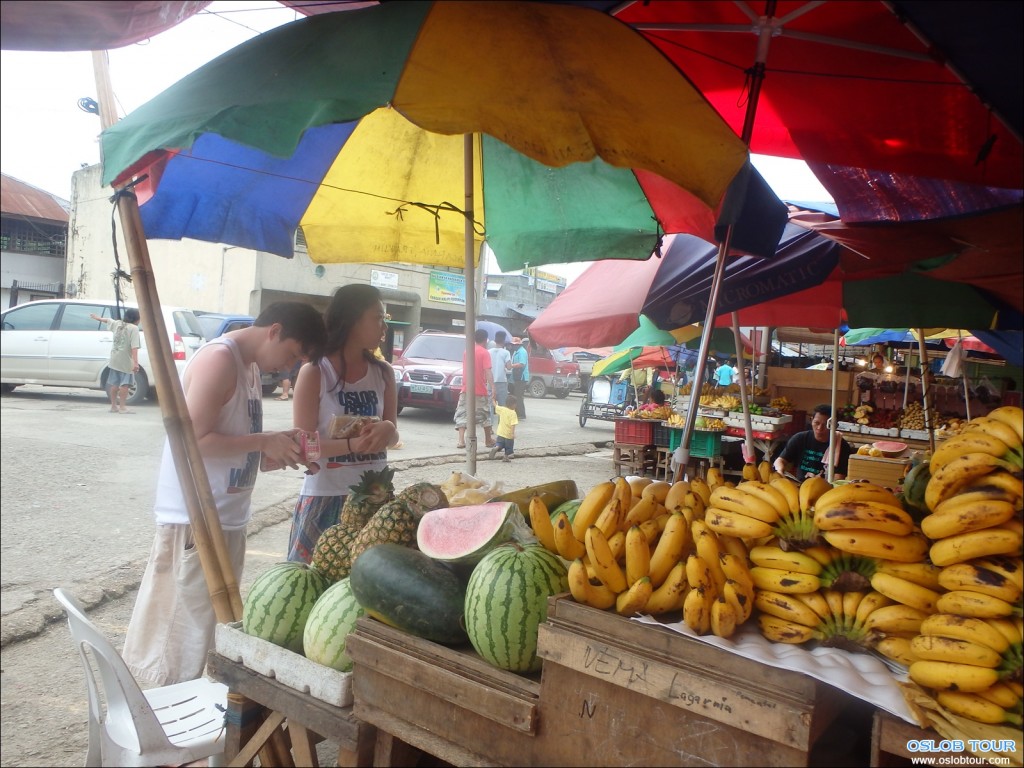 Cebu Oslob Whale shark watching Day tour – 21 July 2014