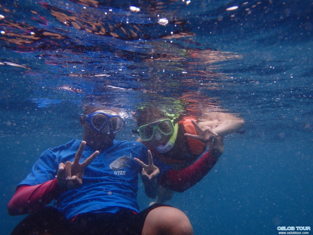 Cebu Oslob Whale shark watching Day tour – 29 July 2014