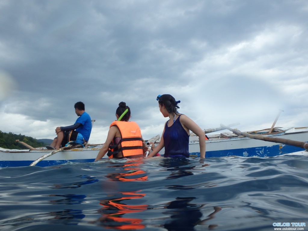 Cebu Oslob Whale shark watching Day tour – 29 July 2014