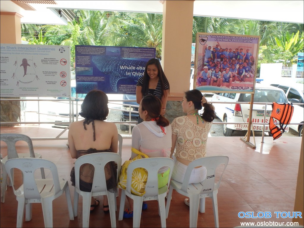 Cebu Oslob Whale shark watching Day tour – 28 June 2014