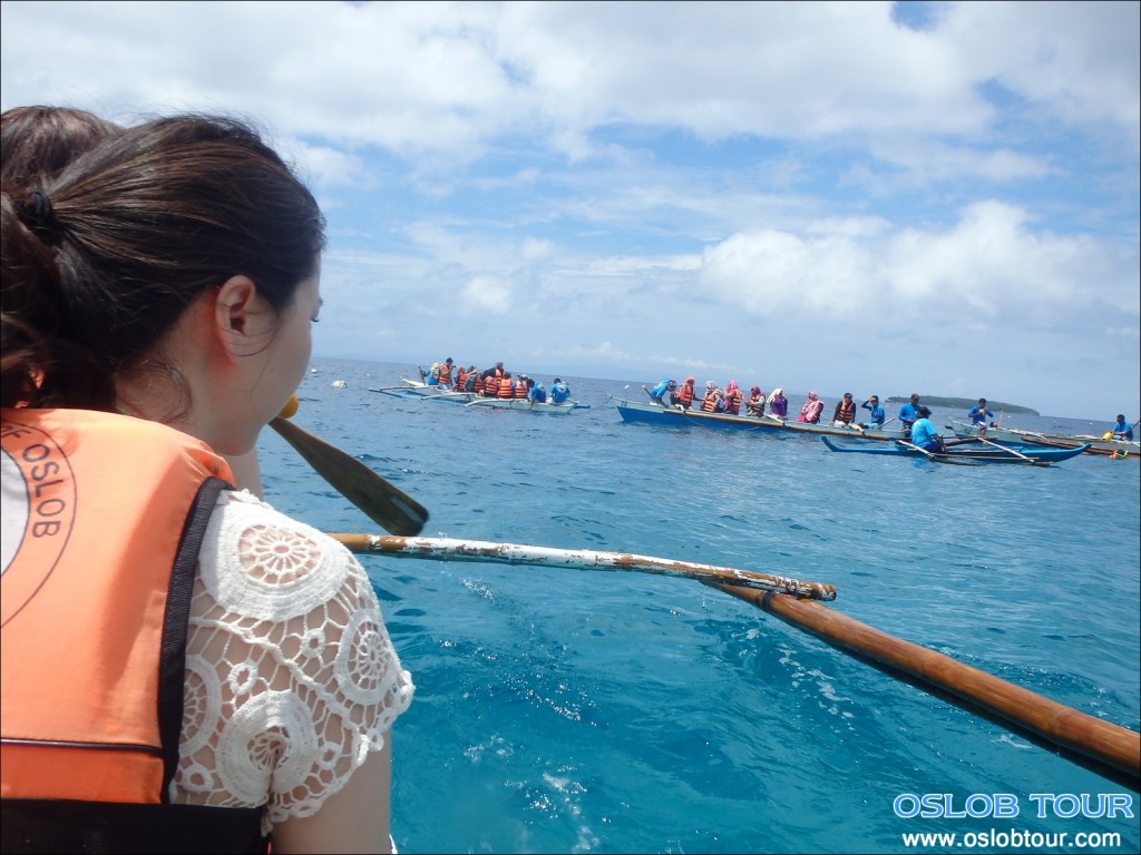 Cebu Oslob Whale shark watching Day tour – 28 June 2014