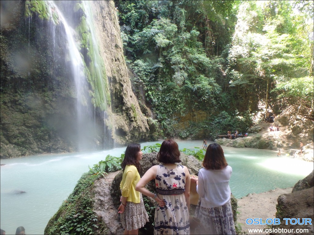 Cebu Oslob Whale shark watching Day tour – 28 June 2014