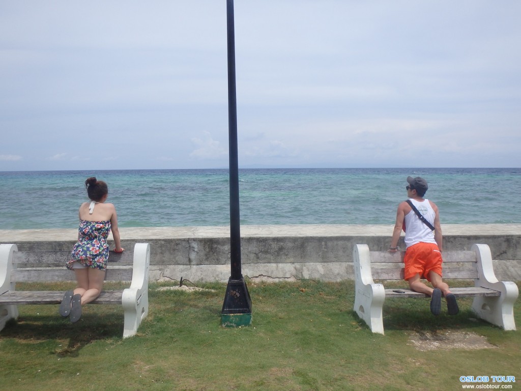Cebu Oslob Whale shark watching Day tour – 16 Aug 2014