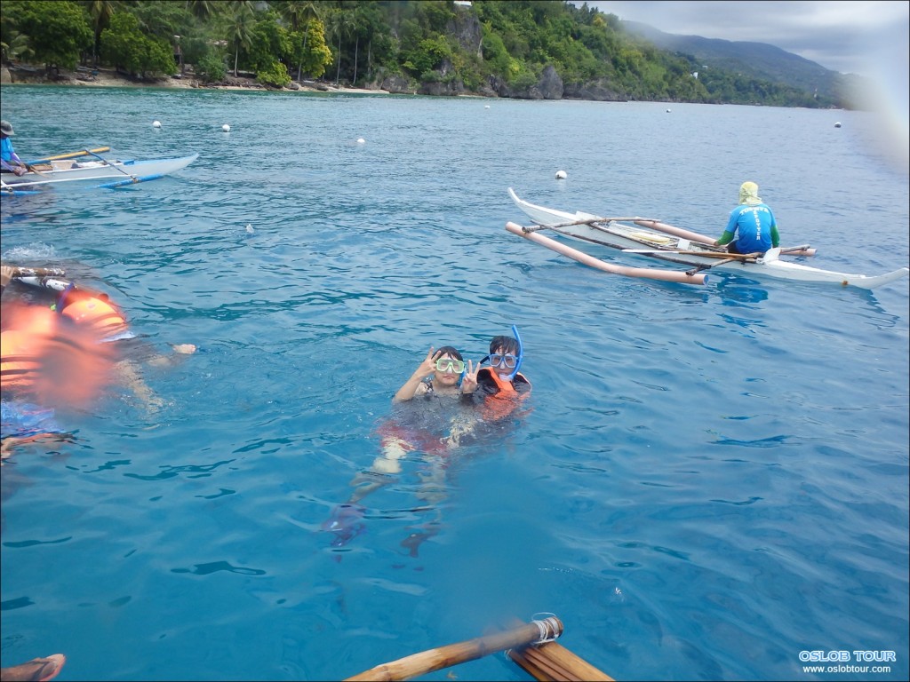 Cebu Oslob Whale shark watching Day tour – 26 Aug 2014