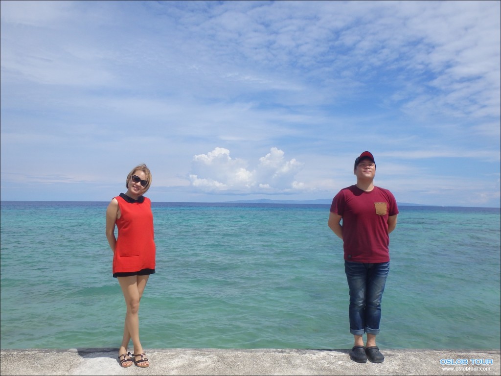 Cebu Oslob Whale shark watching Day tour – 26 Aug 2014
